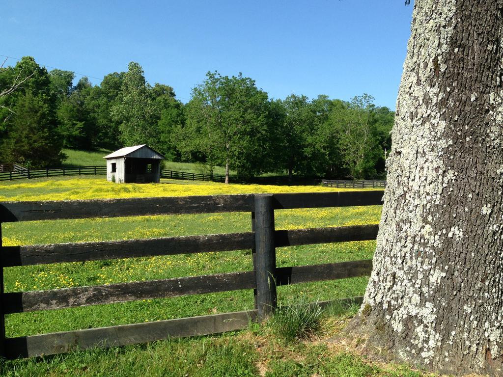 Full Circle Farm Inn Franklin Exterior foto